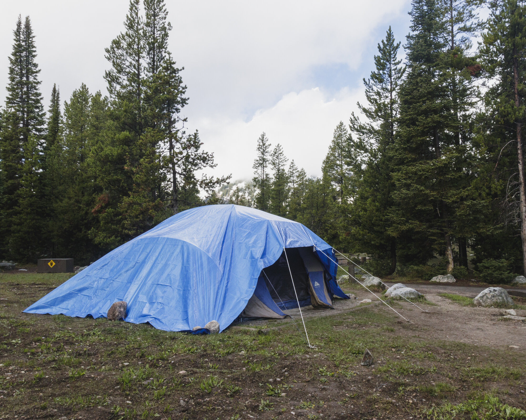 Grand Teton National Park, 2018