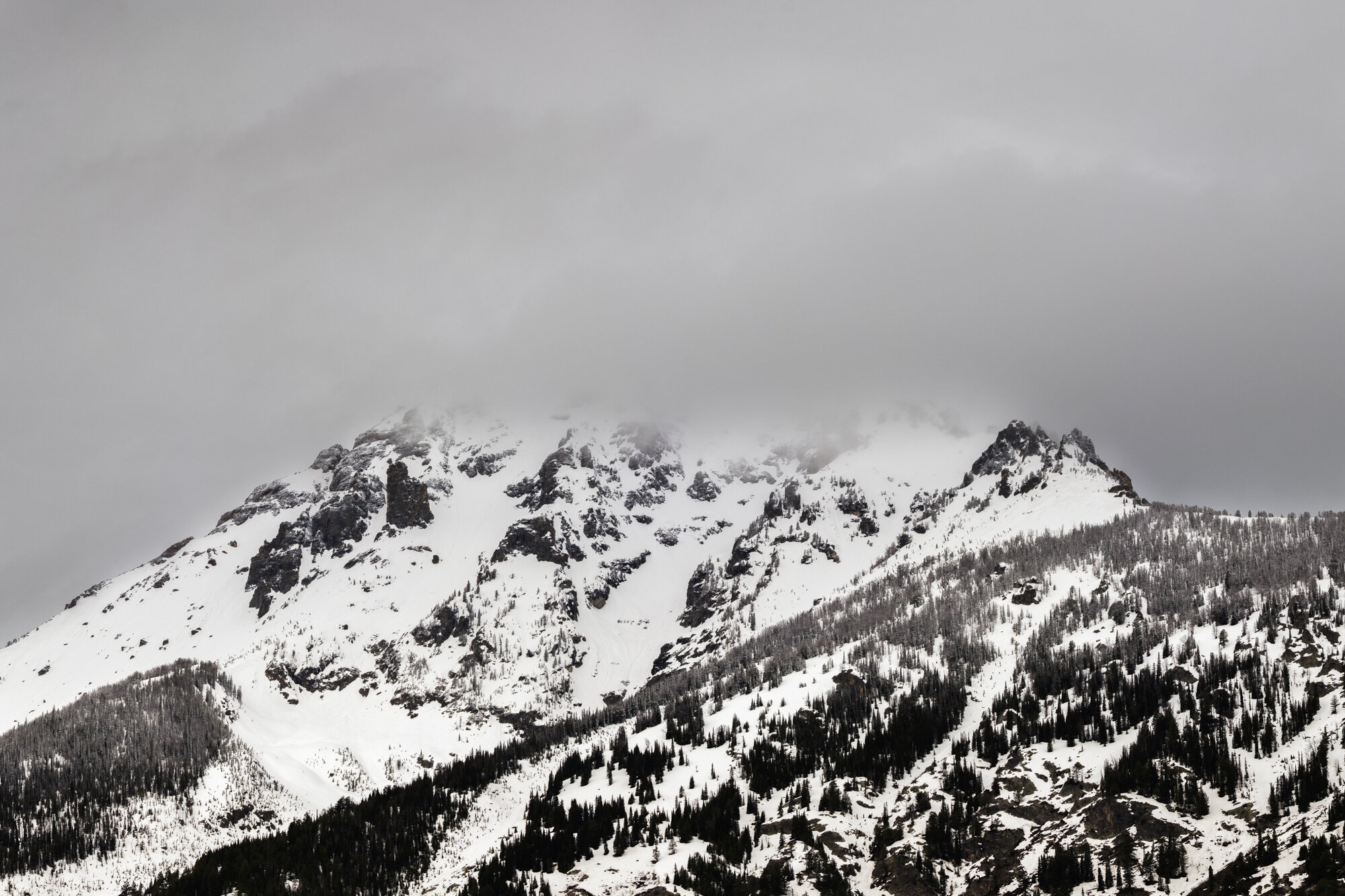 Grand Teton National Park, 2018