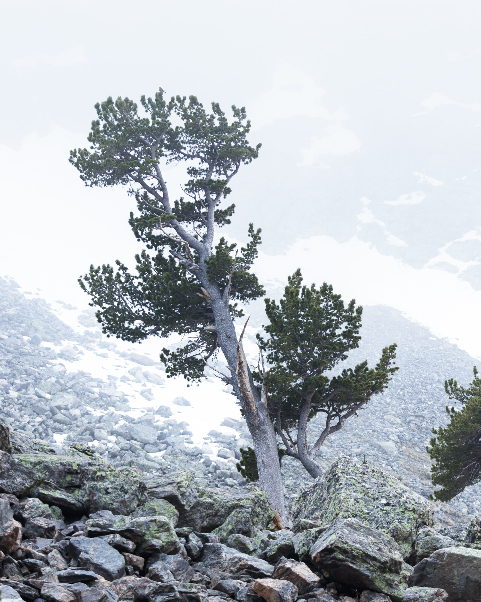 Rocky Mountain National Park, 2018