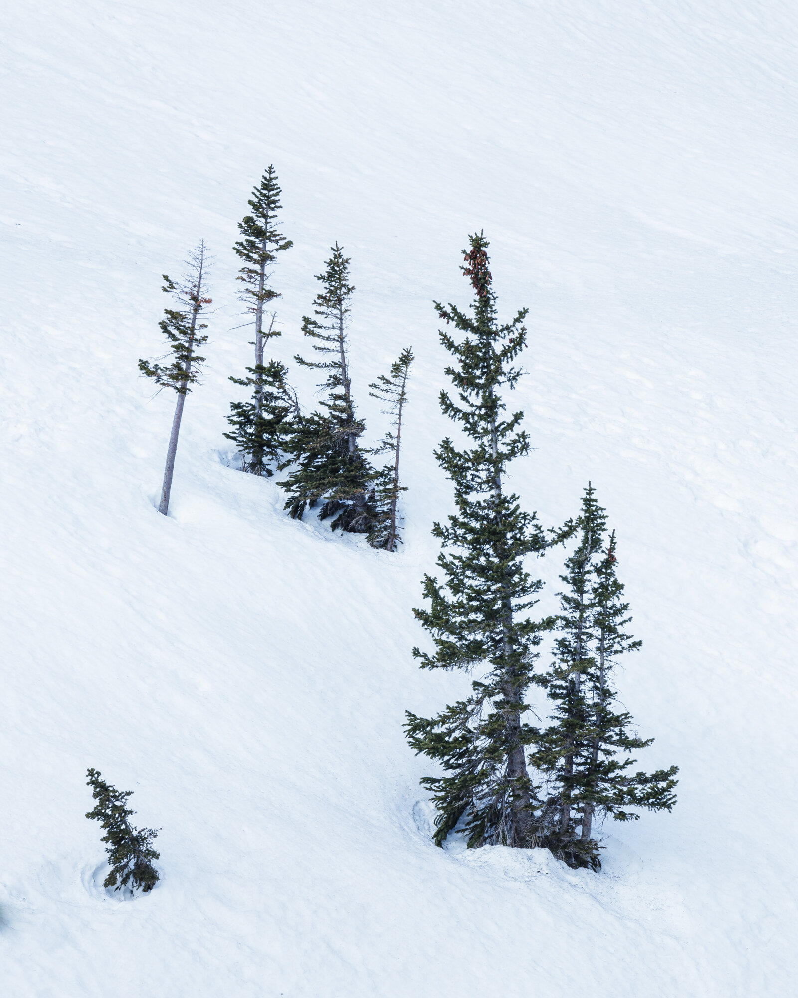 Rocky Mountain National Park, 2018