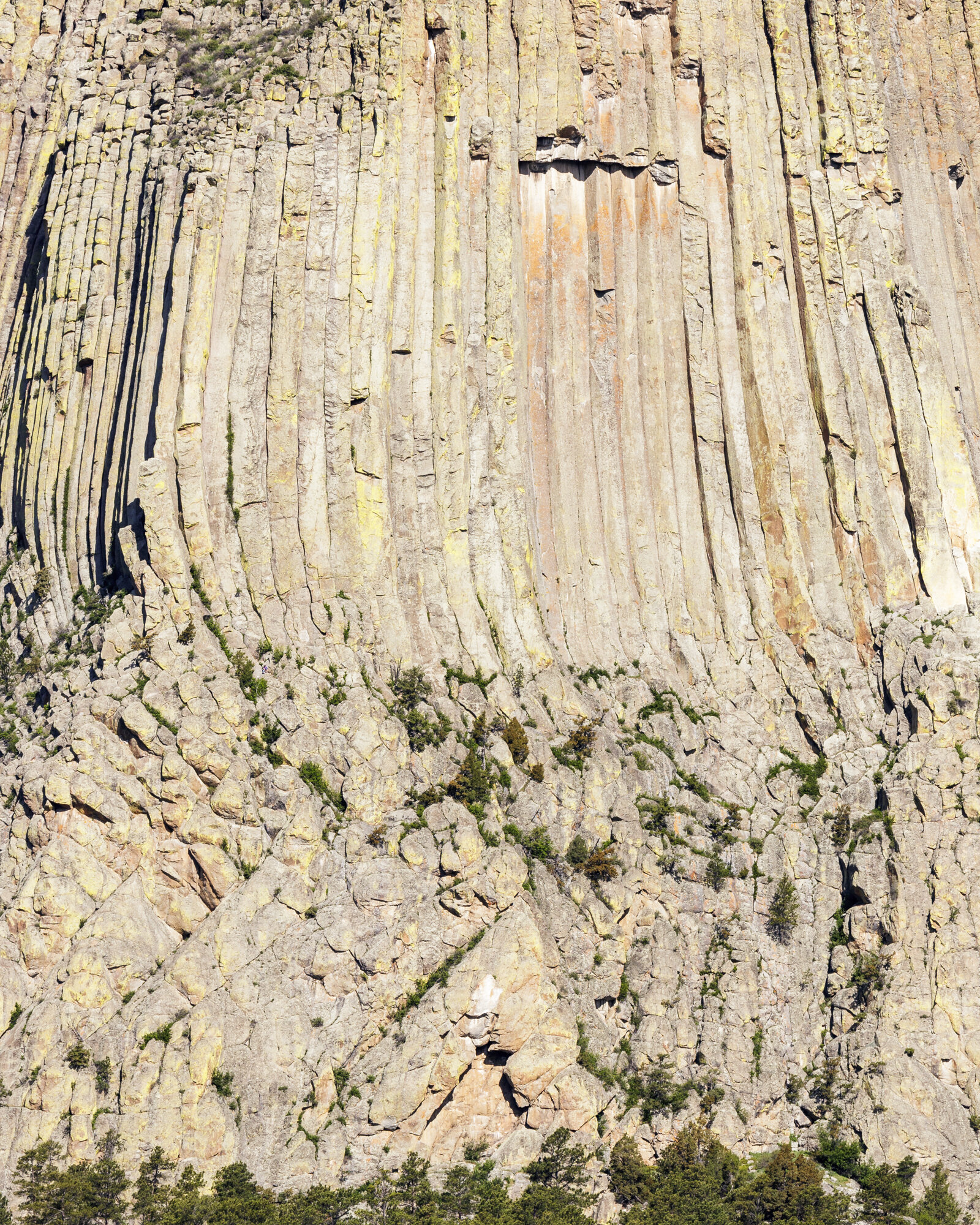 Devil's Tower National Monument, 2018