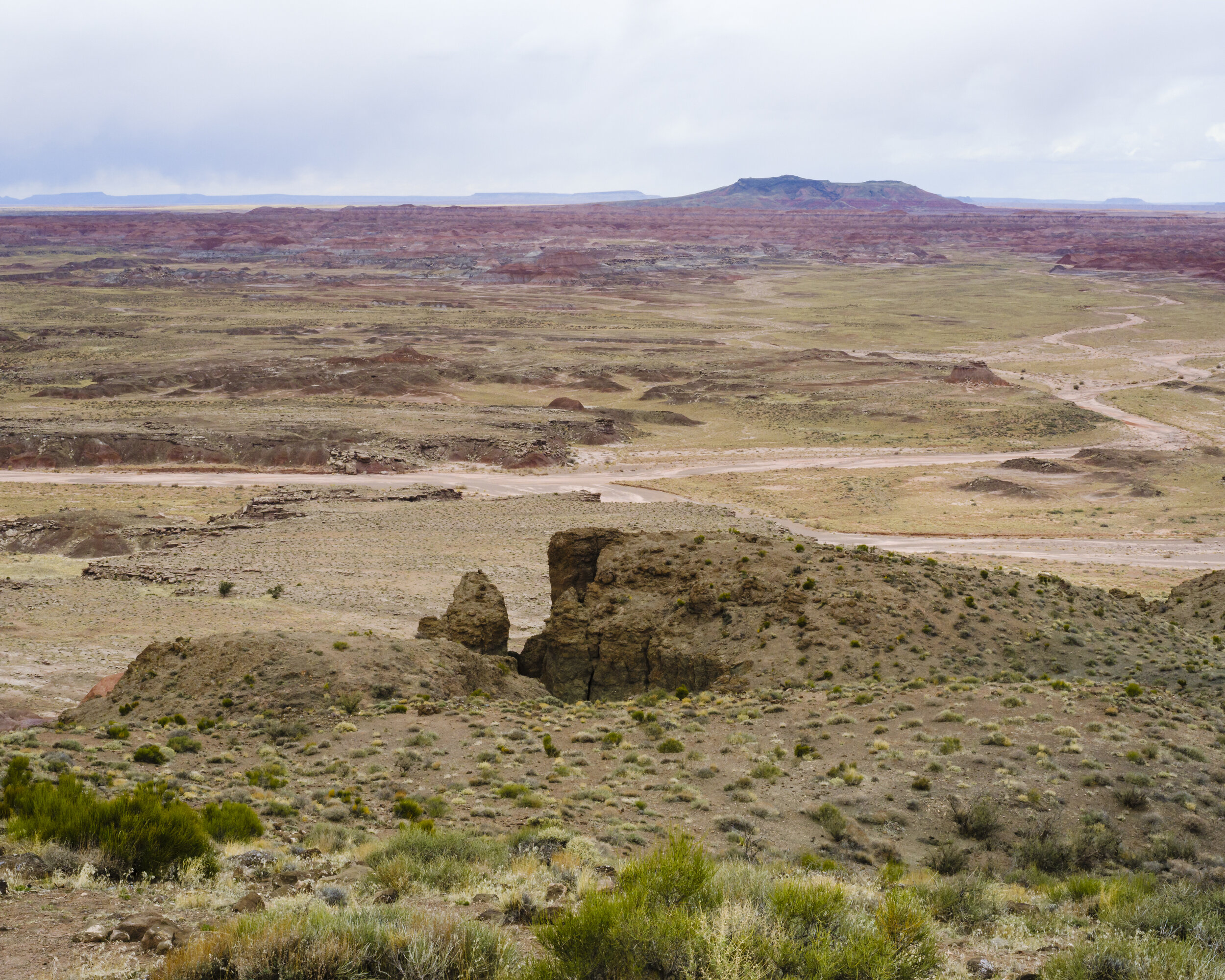 Petrified Forest National Park, 2021