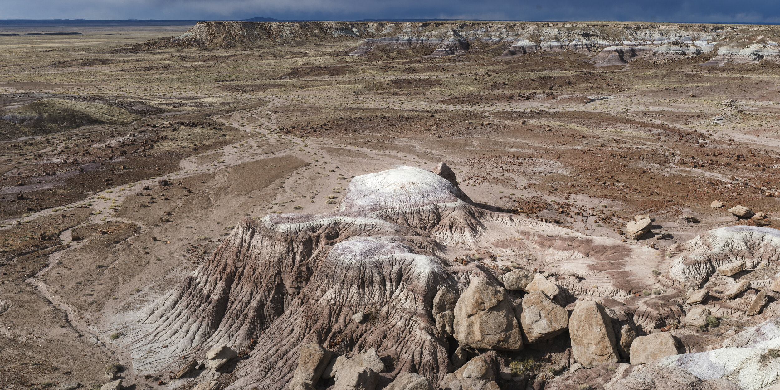 Petrified Forest National Park, 2021