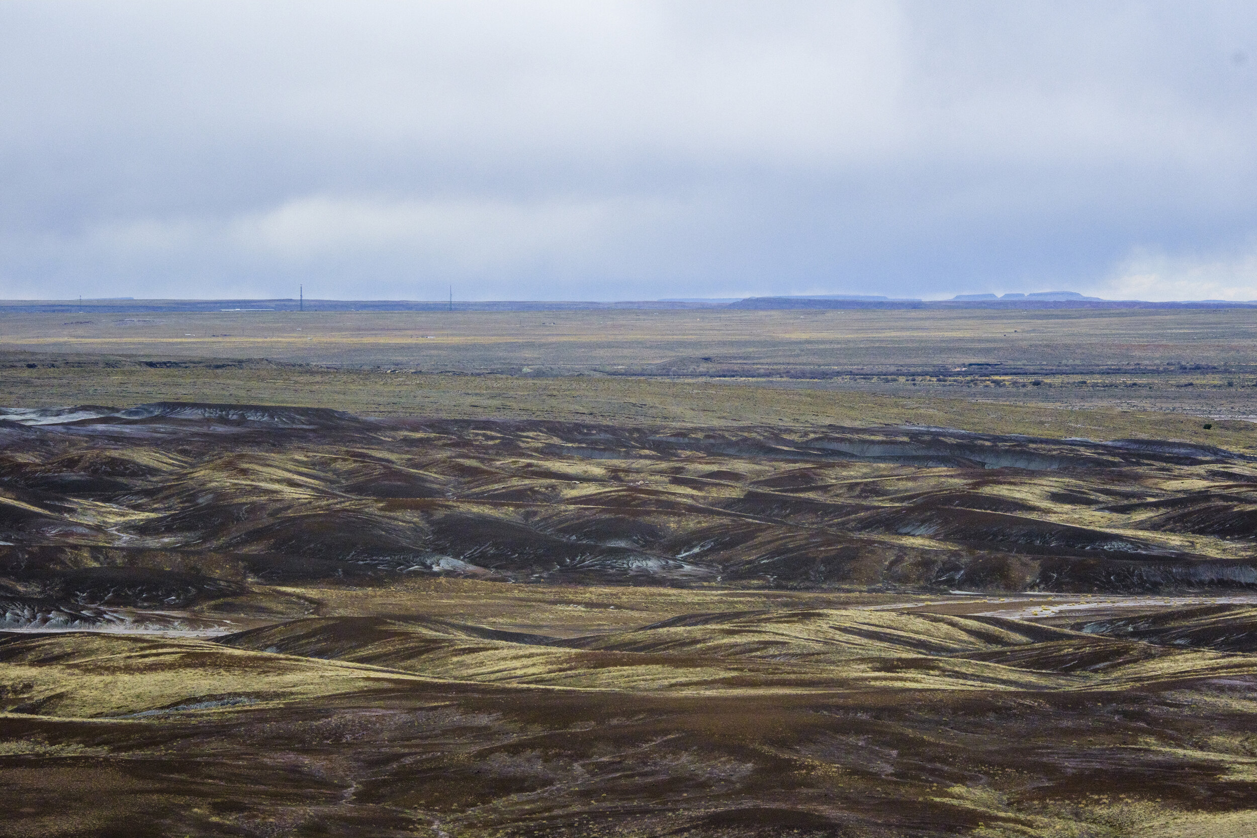 Petrified Forest National Park, 2021