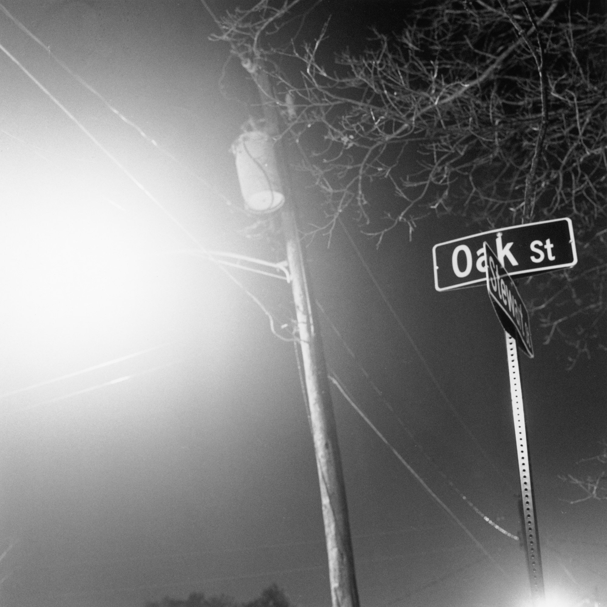 OakStreet-08.jpeg