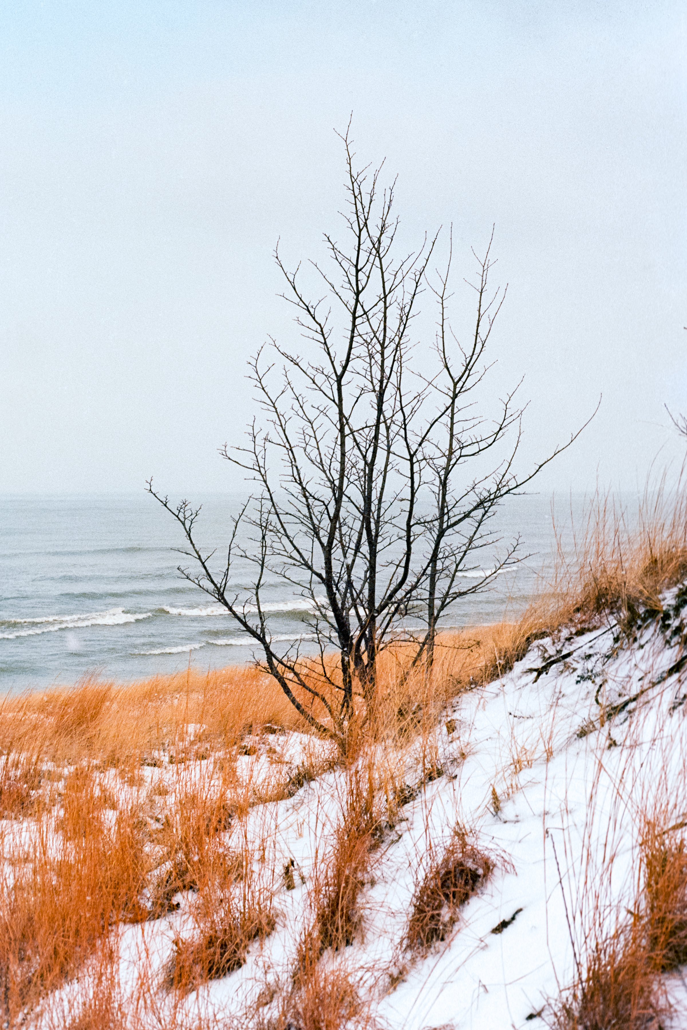 Indiana Dunes National park, 2020