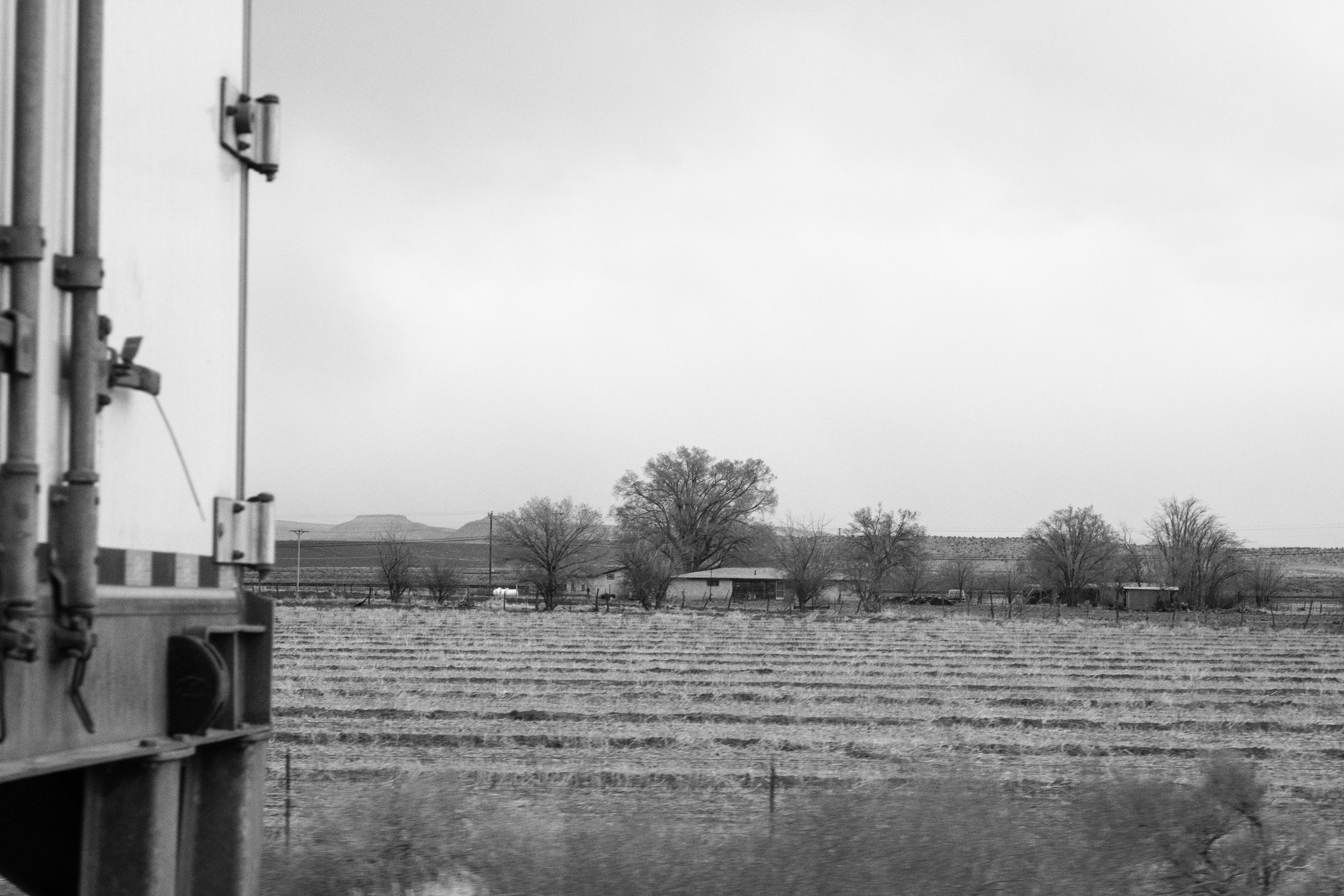 20210417__DSF2660_.jpg