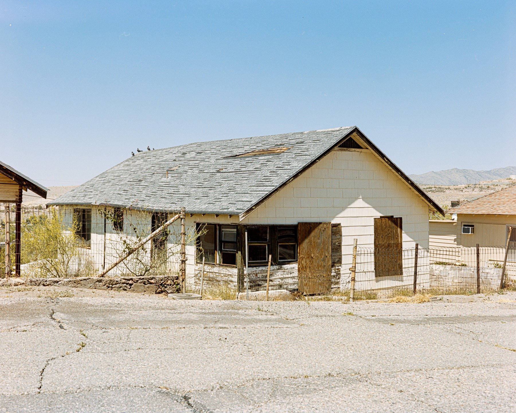 Birds on the roof, Superior, AZ, 2021
