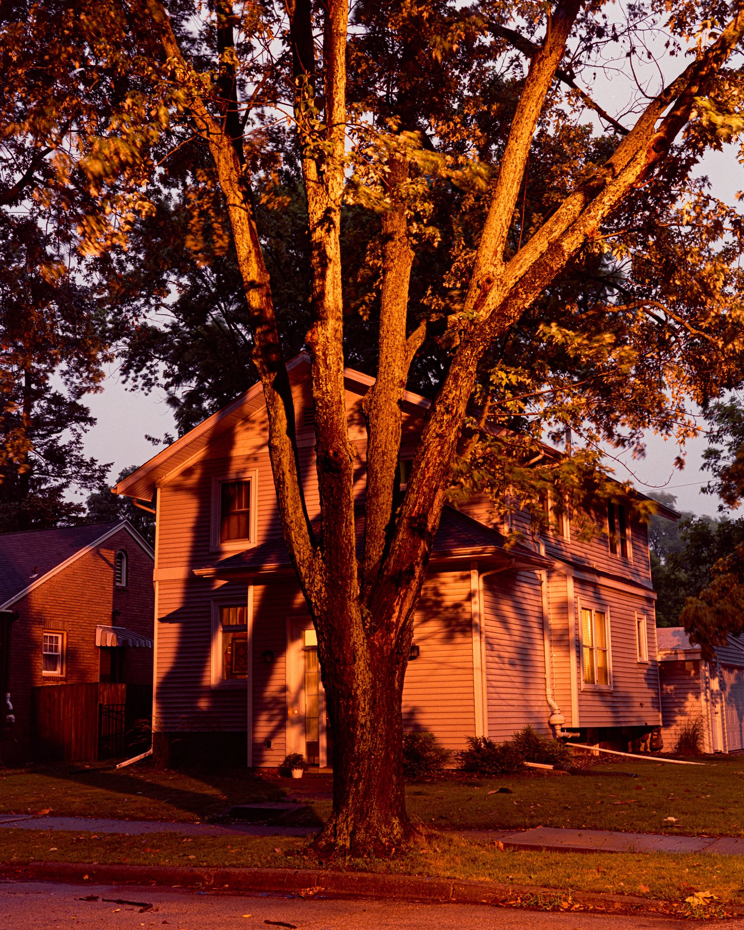 Red Night, Bloomington, IL, 2020