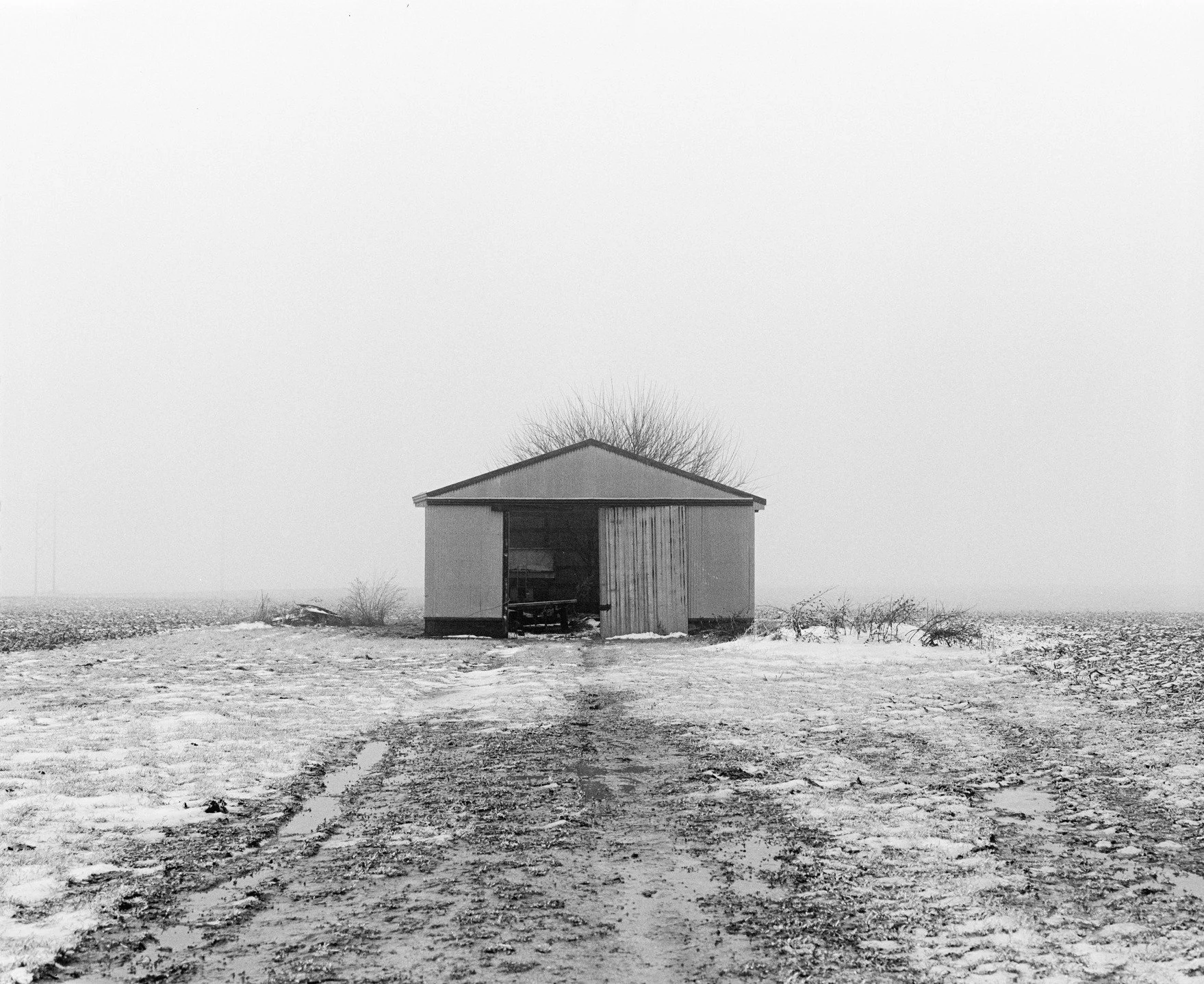 McLean County, IL, 2024