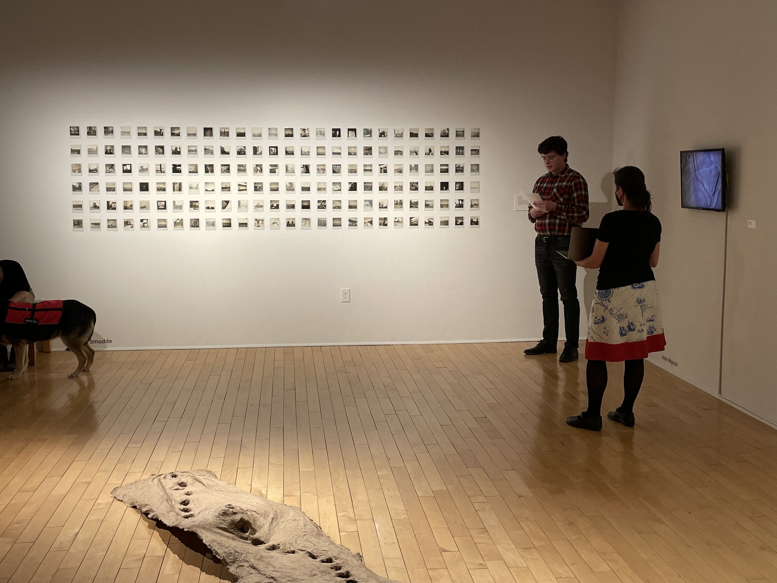 Polaroids, MFA Thesis Exhibition, 2023