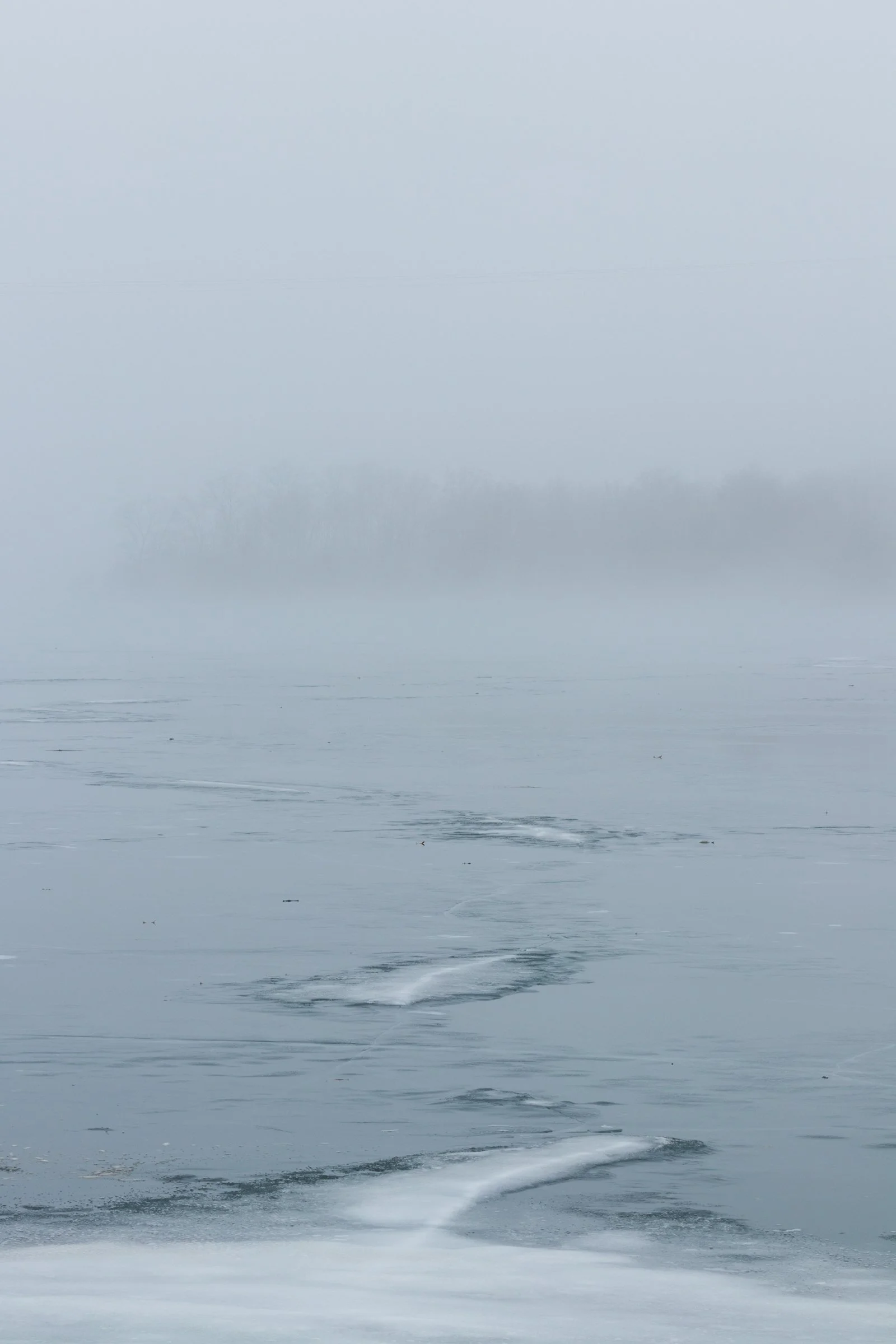 2018-01-21_MG_5065_Canon EOS 80D_JeffSmudde.jpg