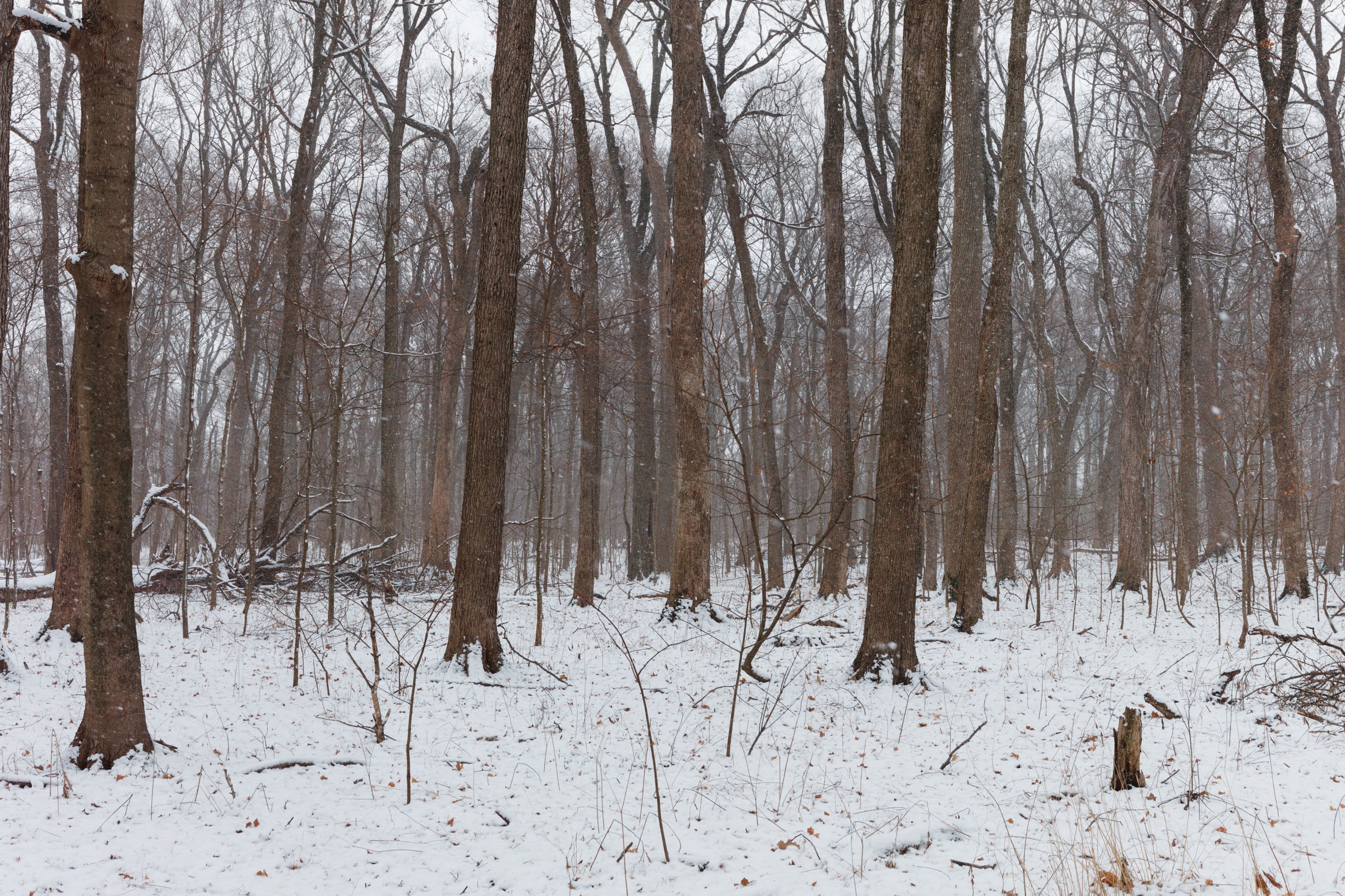 2018-02-04_MG_7337-Pano_Canon EOS 80D_JeffSmudde.jpg