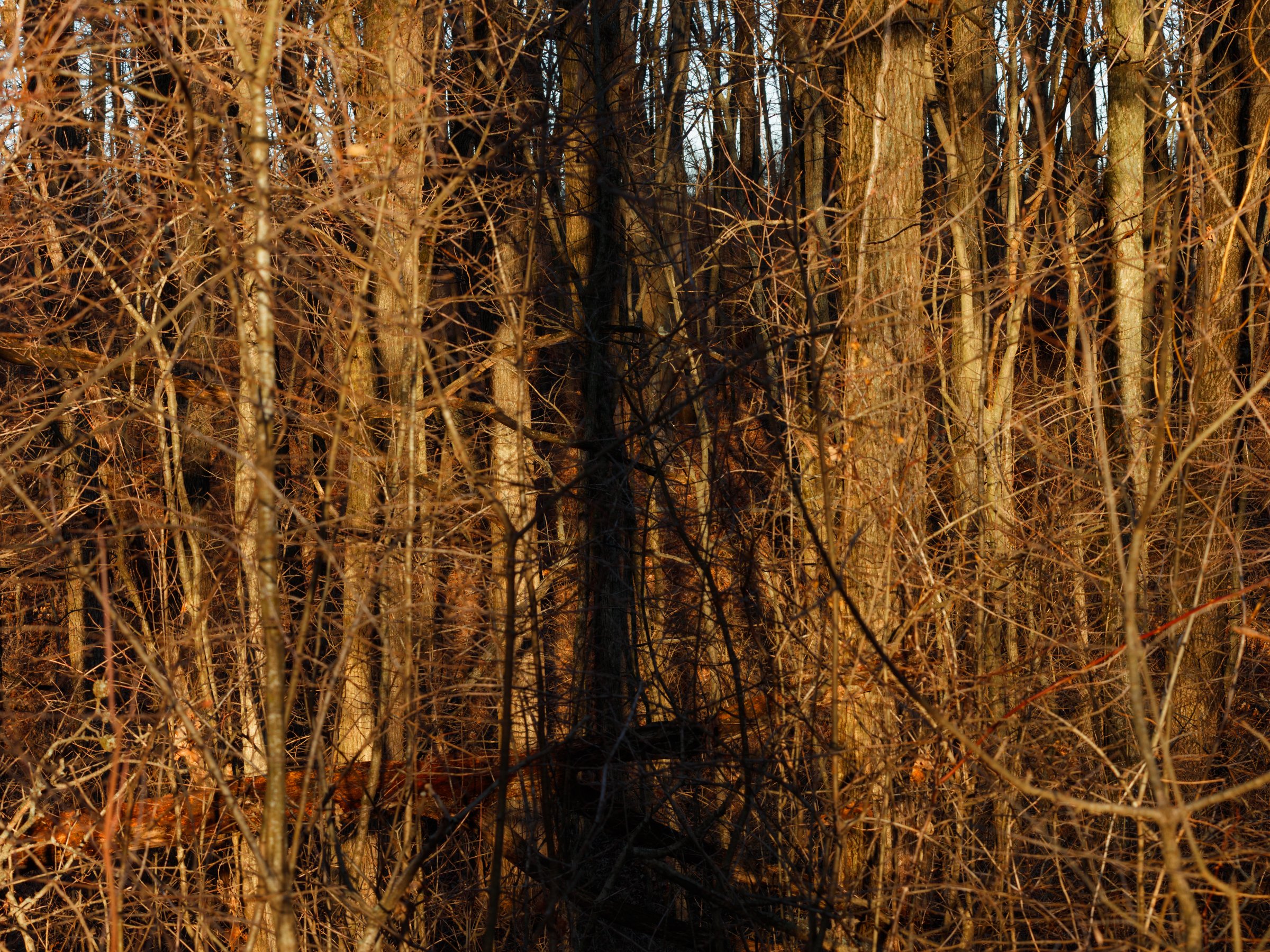 2018-02-25_MG_0255-Pano_Canon EOS 80D_JeffSmudde.jpg