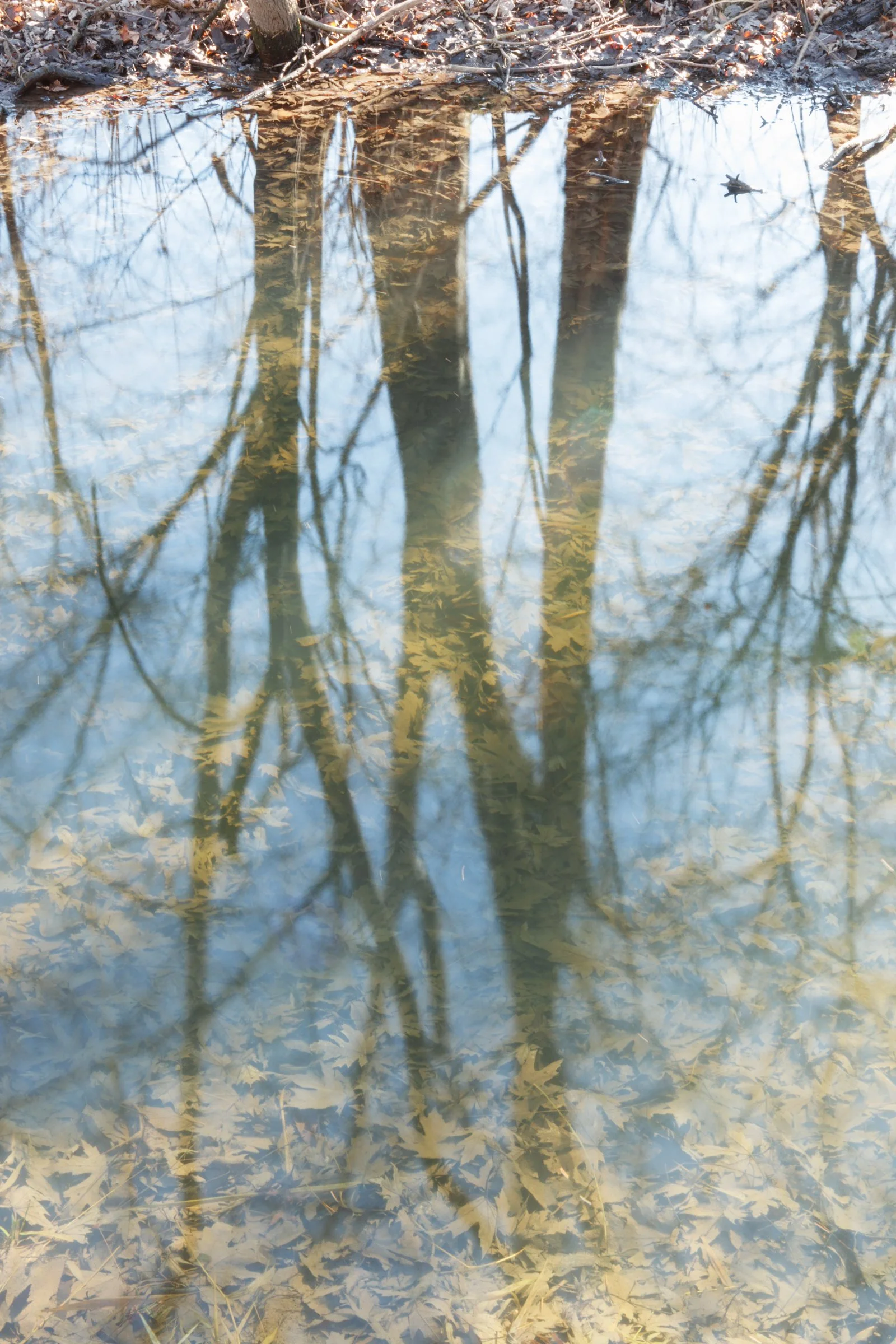 2018-03-04_MG_1451_Canon EOS 80D_JeffSmudde.jpg