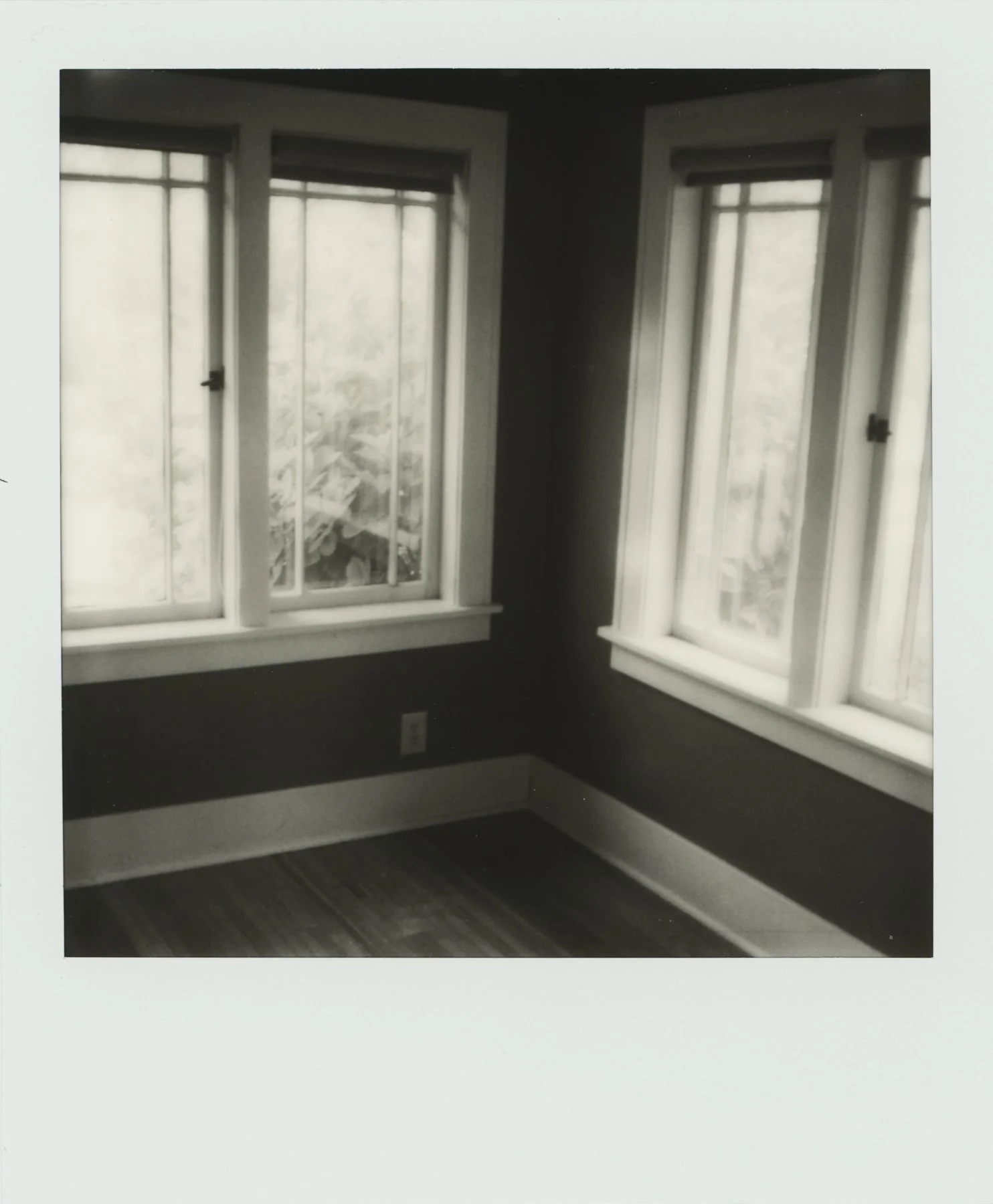 Polaroid_WEB__0002.jpg