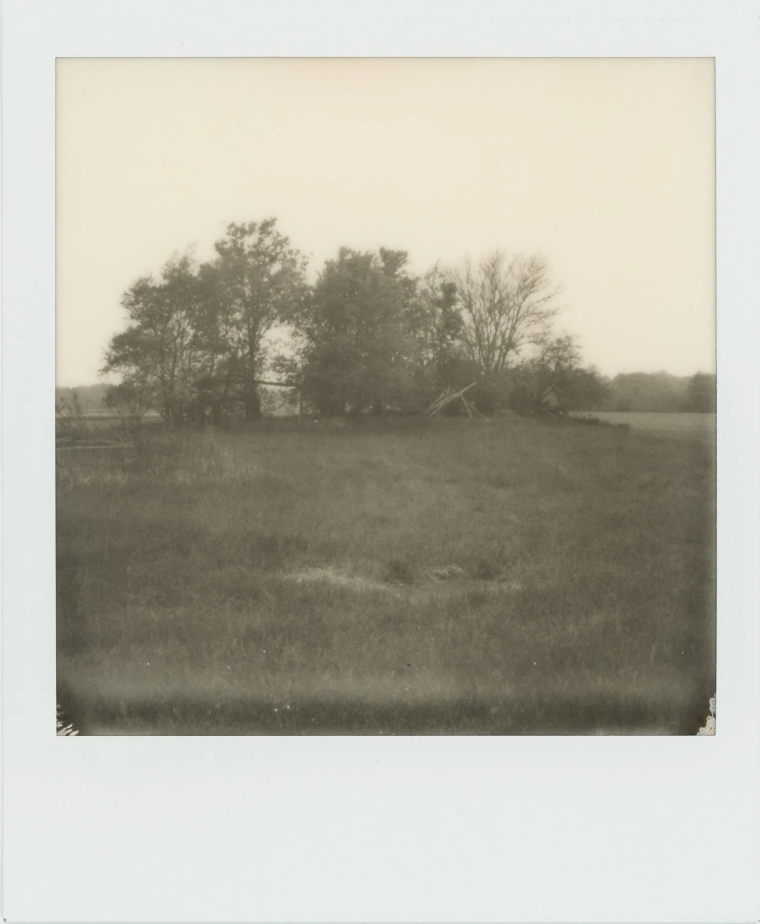 Polaroid_WEB__0008.jpg
