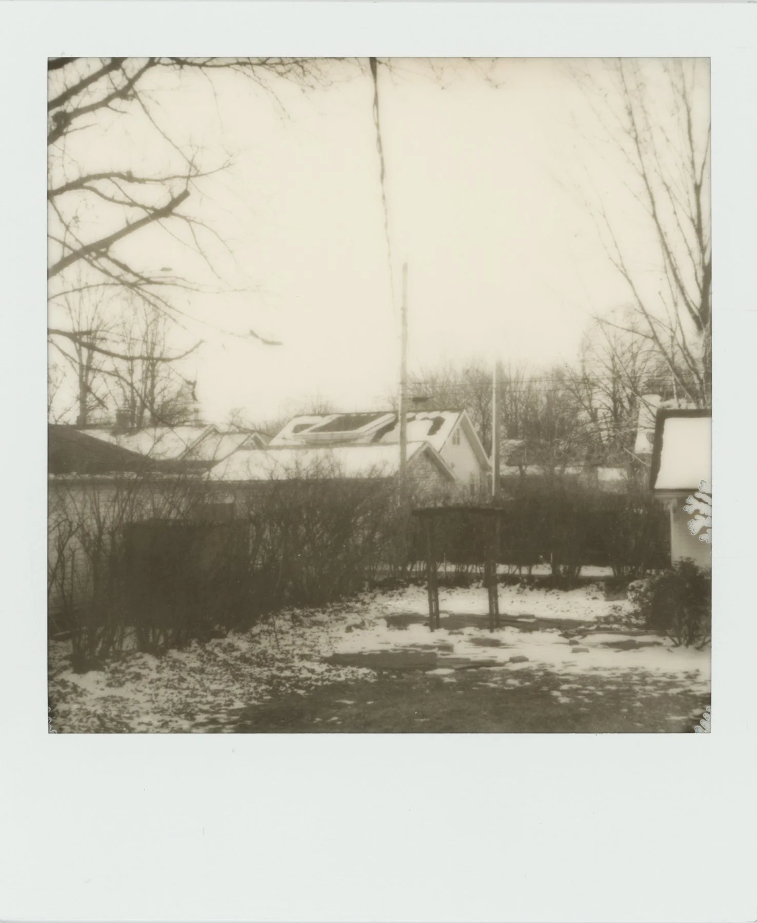 Polaroid_WEB__0017.jpg