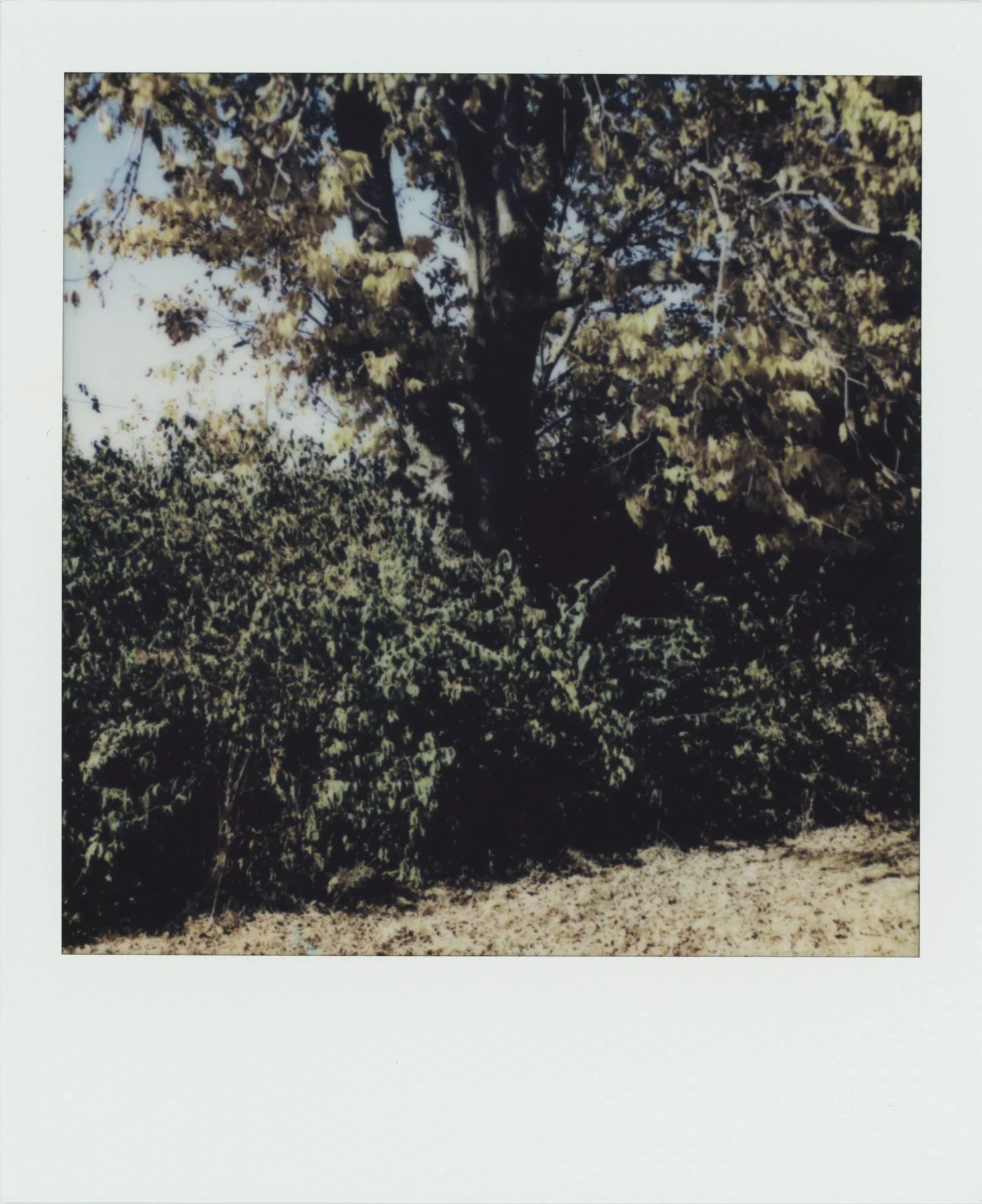 Polaroid_WEB__0089.jpg