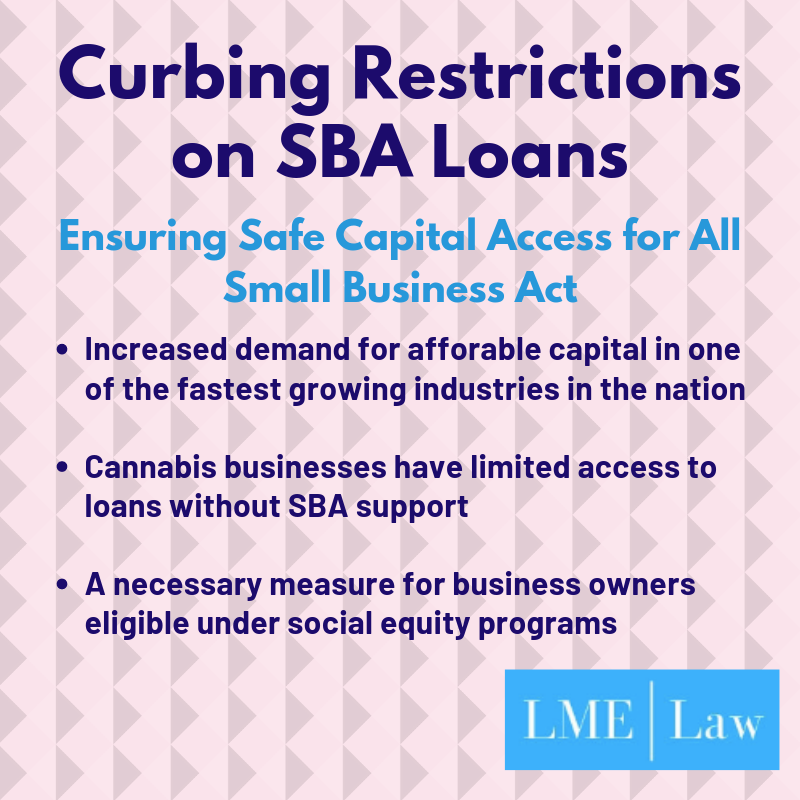Copy of Small Business Loans.png
