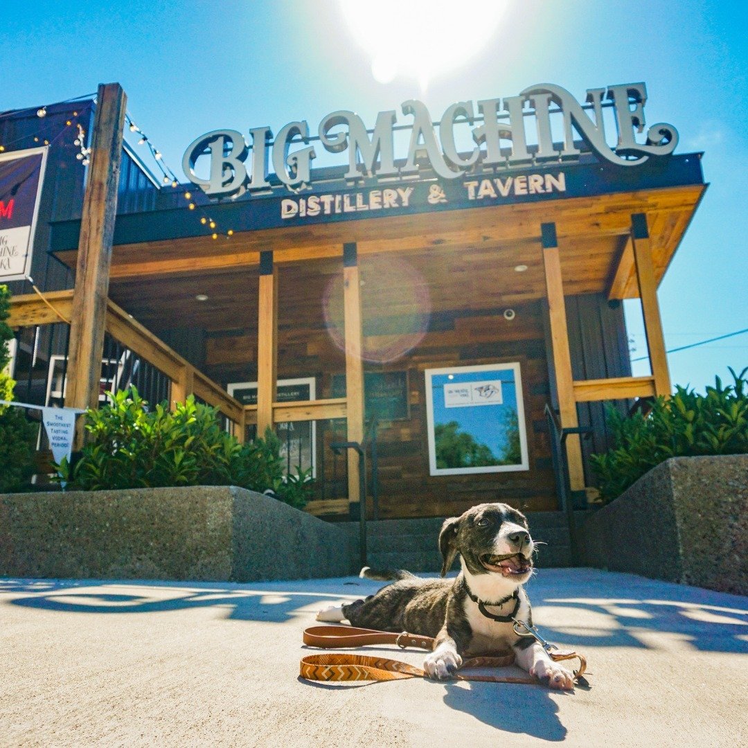 👀Which Cute Pupper are you today?

🏷️
#dogs #dogfriendly #dogfriendlynashville #patio #pupfriendlypatio #cute #puppy