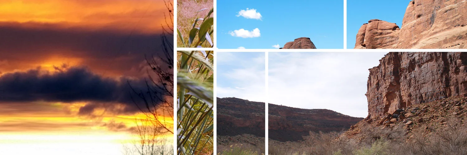 Terry McDermott_Colorado.jpg