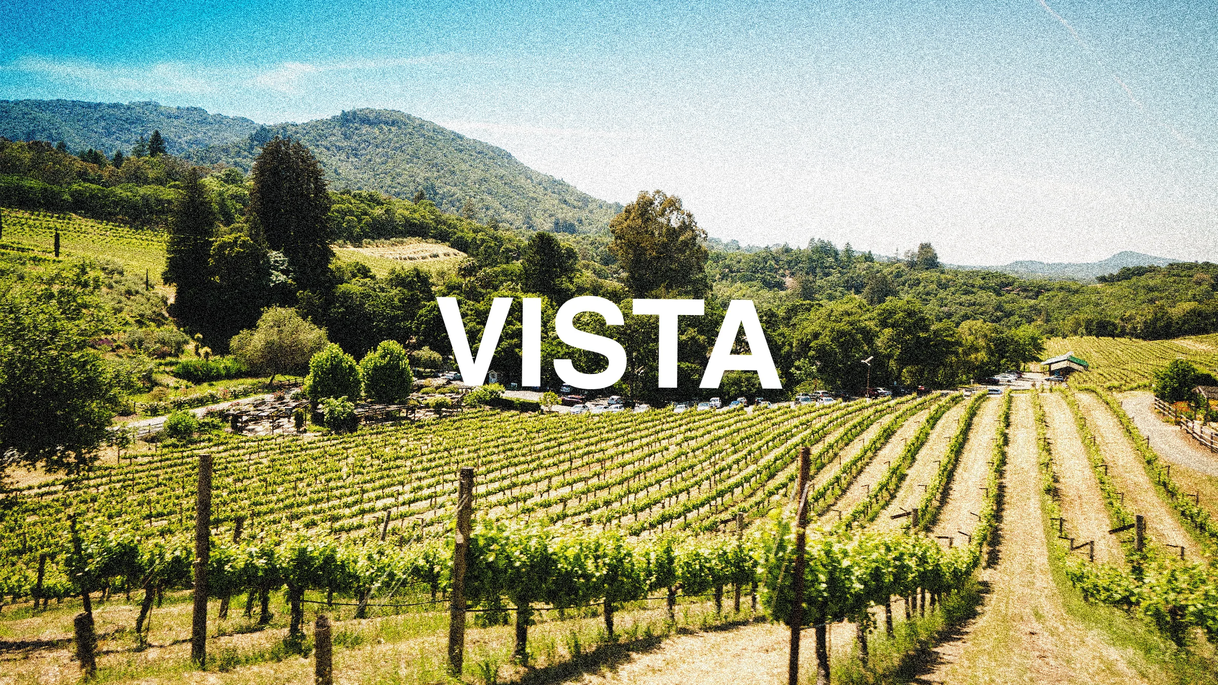 VistaHeader2.jpg