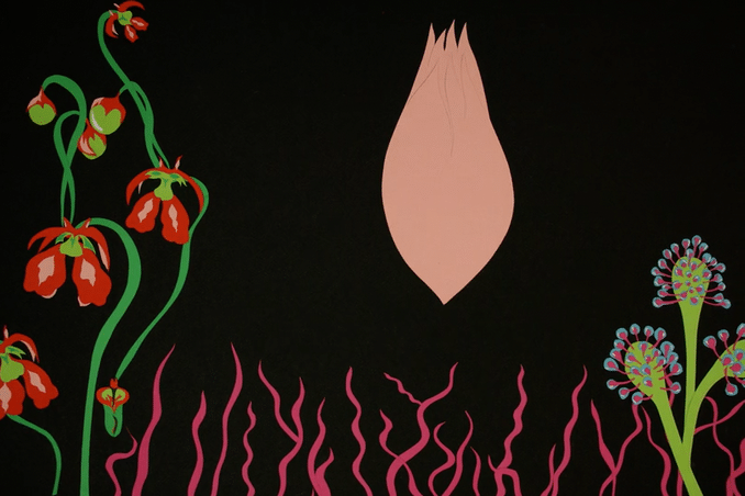 Wild Flower-high.gif