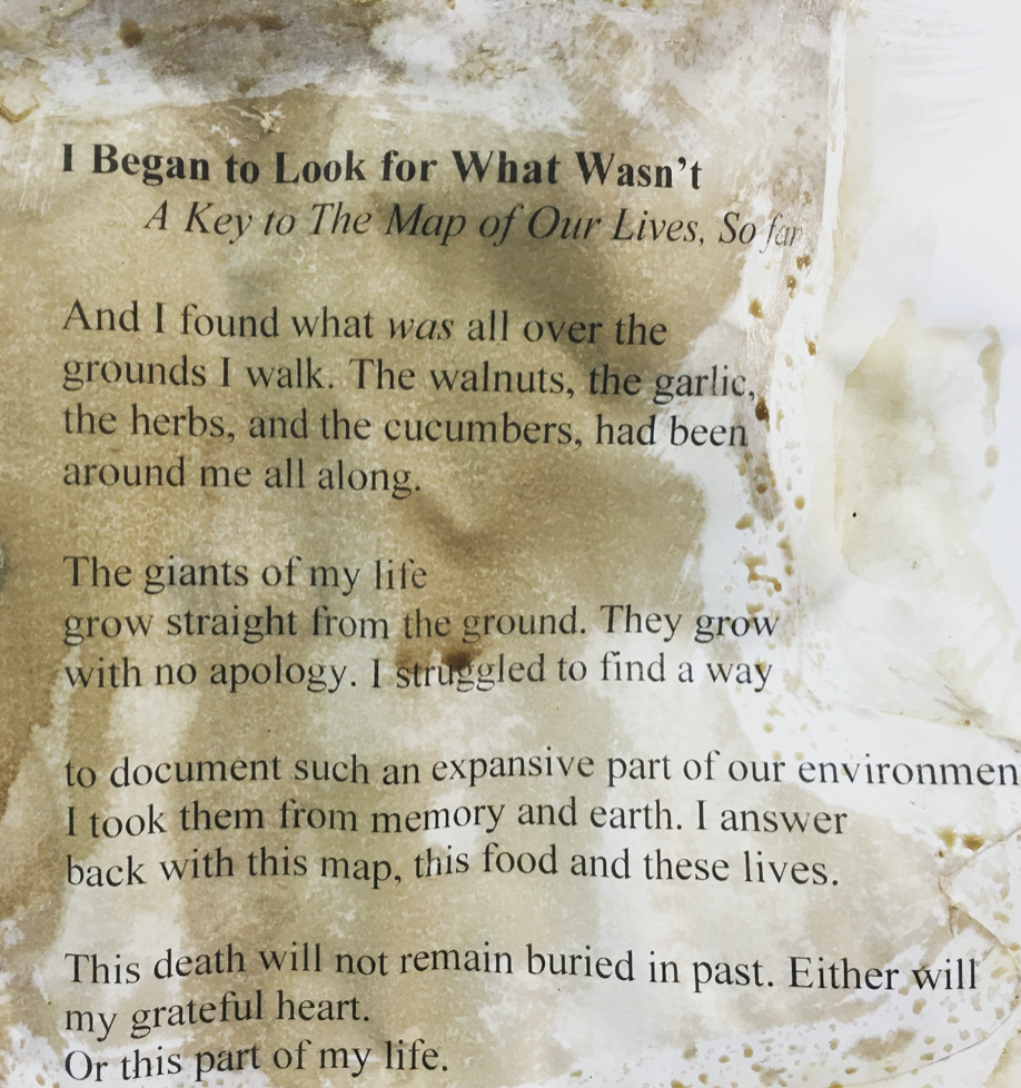 Poem from “Map Of Our Lives, So Far”