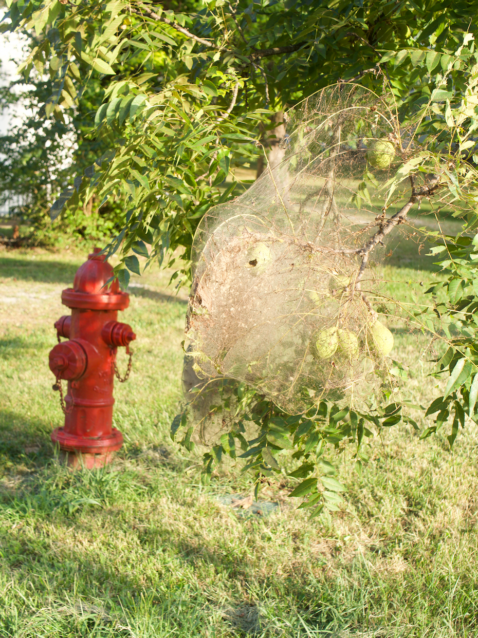 Screen Shot 2025-08-03 at 7.08.22 PM.png