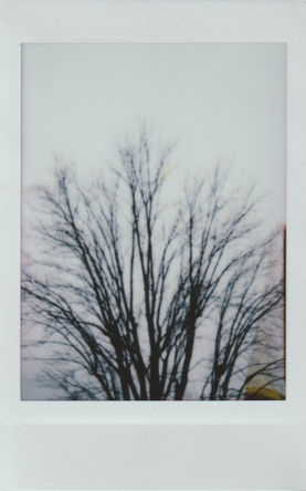 Screen Shot 2022-03-22 at 1.33.01 PM.png