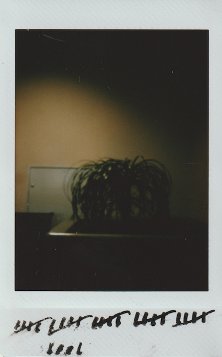 Screen Shot 2022-03-22 at 1.28.07 PM.png