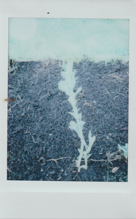 Screen Shot 2022-03-22 at 1.28.59 PM.png