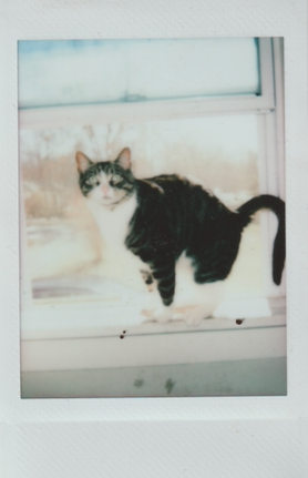 Screen Shot 2022-03-22 at 1.32.52 PM.png