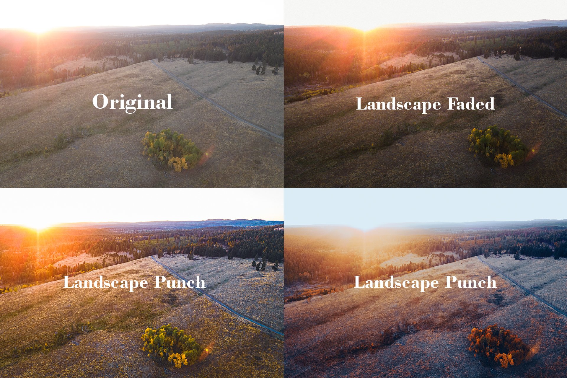 Examples 2.jpg