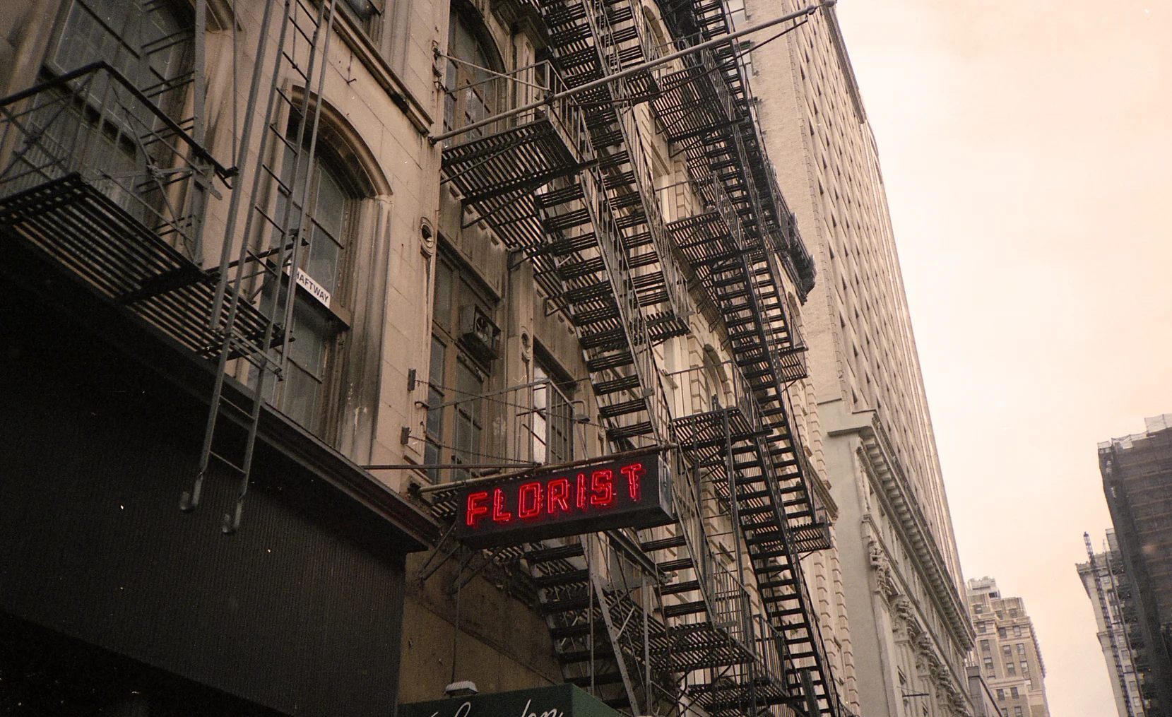 florist_neon_sign_EDITED_lowercontrast.jpg