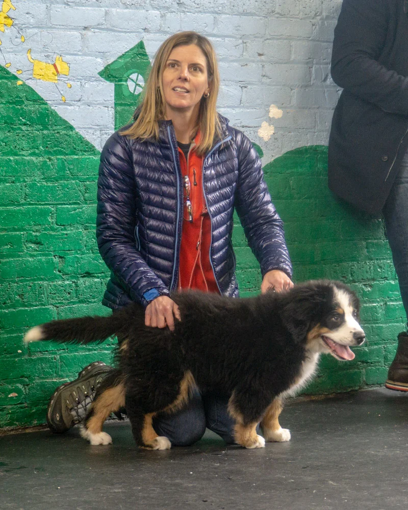 2019-01-26_Unleashed_PuppyClass (18 of 78).jpg
