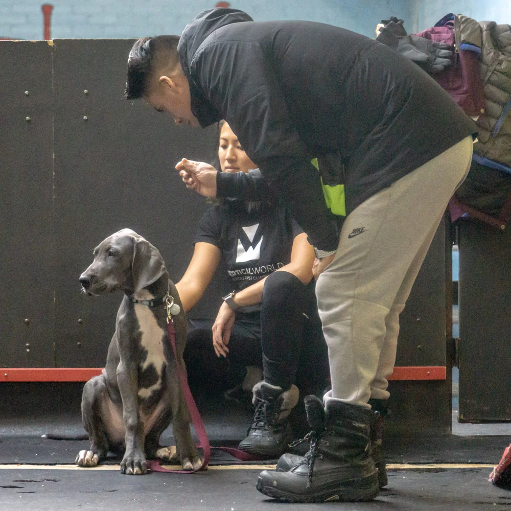 2019-01-26_Unleashed_PuppyClass (30 of 78).jpg