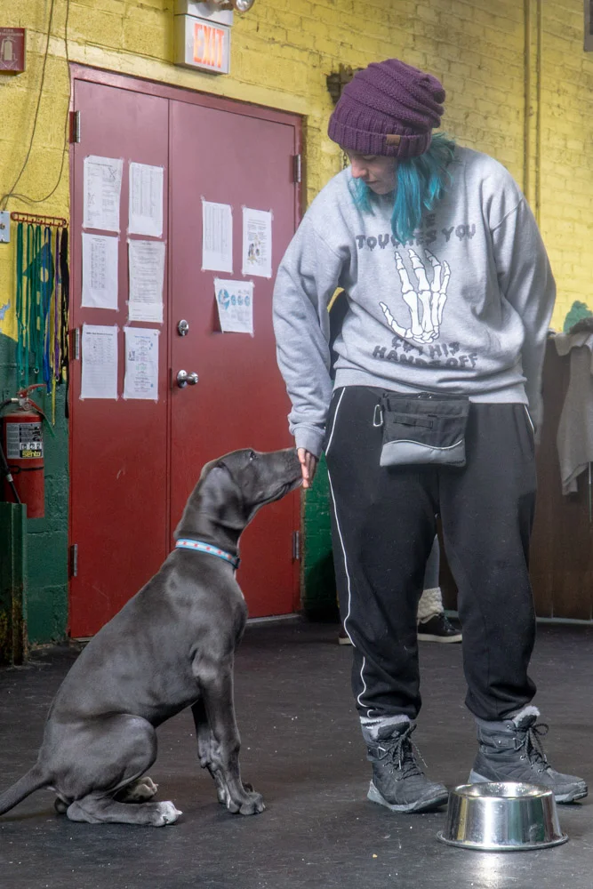 2019-01-26_Unleashed_PuppyClass (38 of 78).jpg
