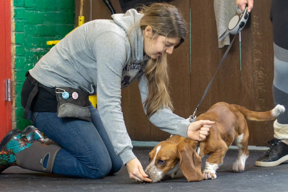 2019-01-26_Unleashed_PuppyClass (39 of 78).jpg