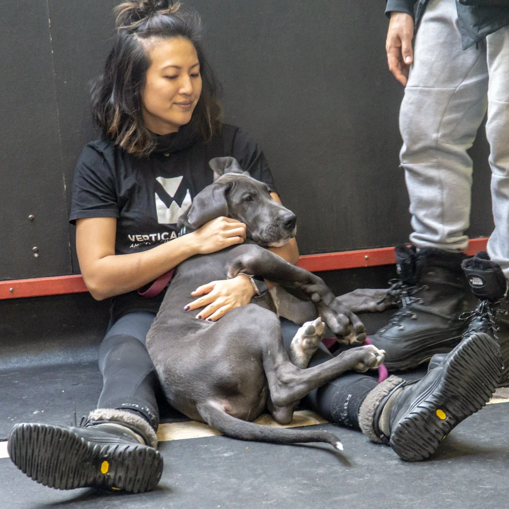 2019-01-26_Unleashed_PuppyClass (57 of 78).jpg