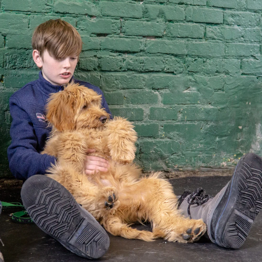 2019-01-26_Unleashed_PuppyClass (58 of 78).jpg