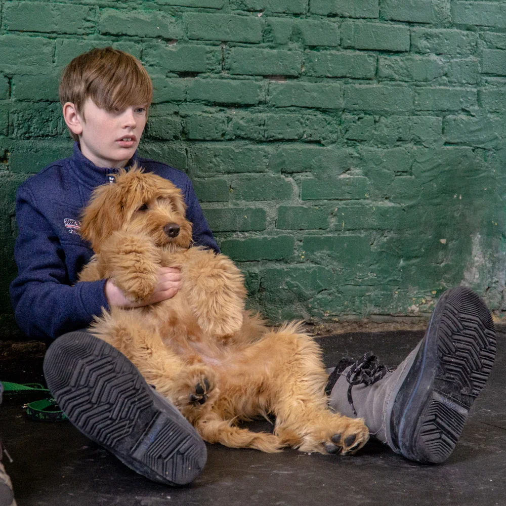 2019-01-26_Unleashed_PuppyClass (59 of 78).jpg