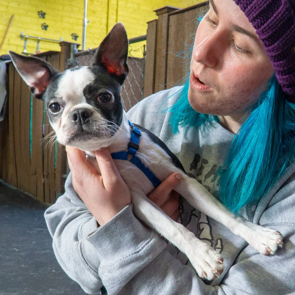 2019-01-26_Unleashed_PuppyClass (75 of 78).jpg