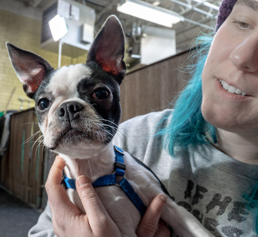 2019-01-26_Unleashed_PuppyClass (77 of 78).jpg