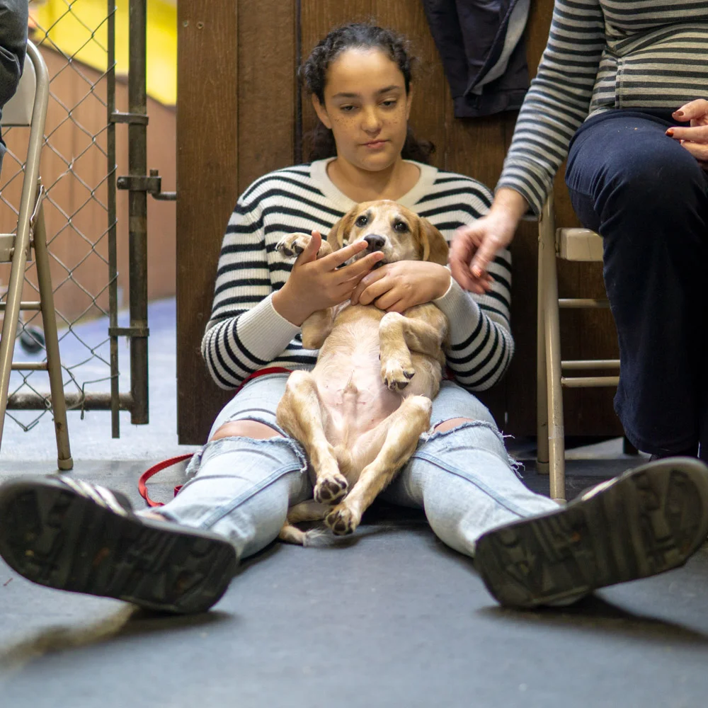 2018-11-17_Unleashed_PuppyClass (27 of 33).jpg