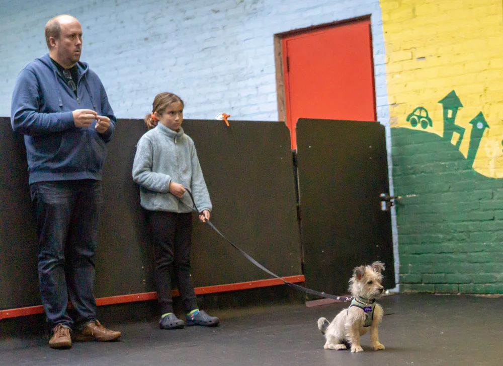 2018-11-17_Unleashed_PuppyClass (9 of 33).jpg