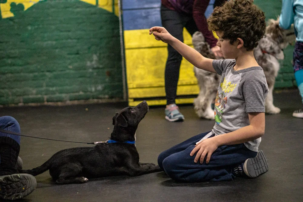 2018-11-08_Unleashed_PuppyClass (6 of 38).jpg