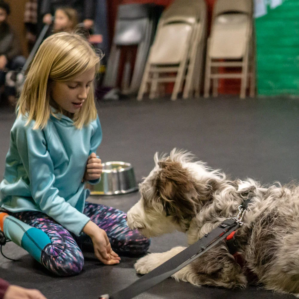 2018-11-08_Unleashed_PuppyClass (10 of 38).jpg