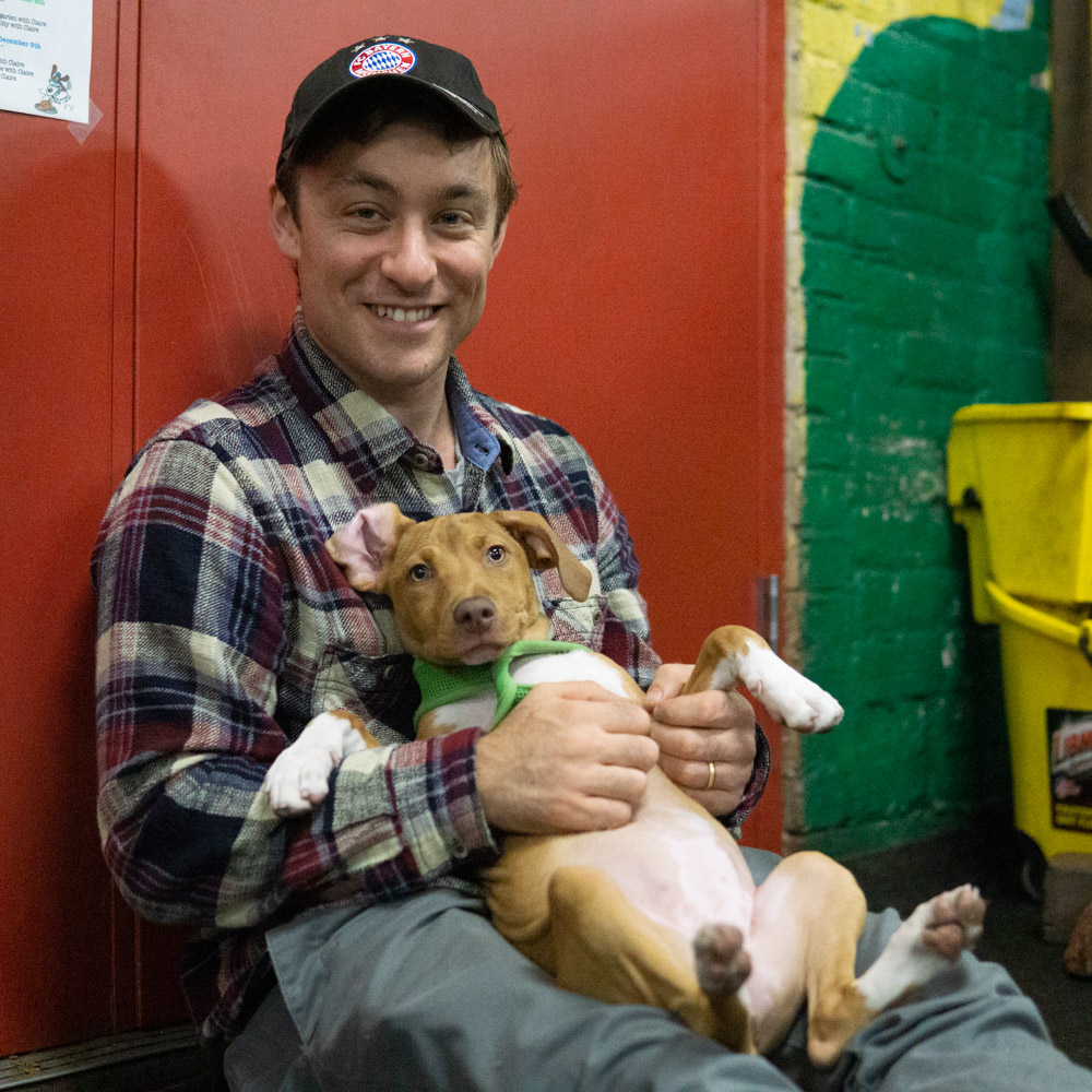 2018-11-08_Unleashed_PuppyClass (26 of 38).jpg